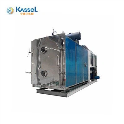 40 Square Pharmaceutical Freeze suszarka